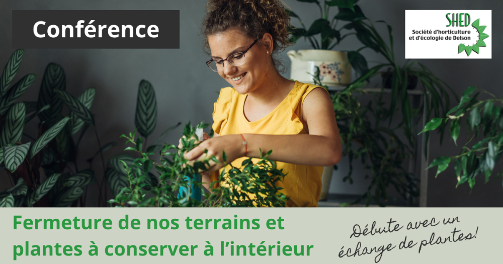 SHED – FERMETURE DE NOS TERRAINS ET PLANTES À CONSERVER À L’INTÉRIEUR (AVEC ÉCHANGE DE PLANTES)